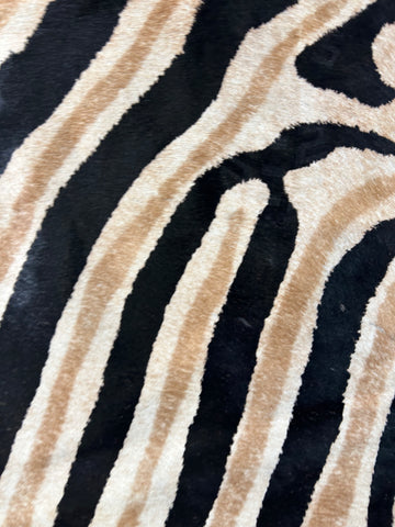 Dark Genuine Zebra Print Cowhide Rug Size: 7x6 feet D-201