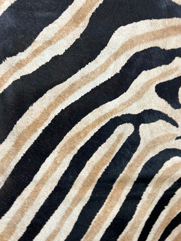 Dark Genuine Zebra Print Cowhide Rug Size: 7x6 feet D-202