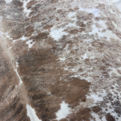 Gorgeous Beige Brindle Cowhide Rug Size: 8x6.7 feet Z-058