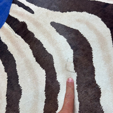 Light Genuine Zebra Print Cowhide Rug (3 small patches) Size: 7x6 feet Z-061