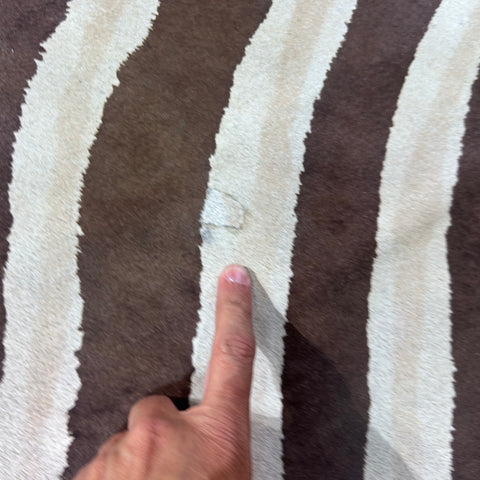 Light Genuine Zebra Print Cowhide Rug (3 small patches) Size: 7x6 feet Z-061