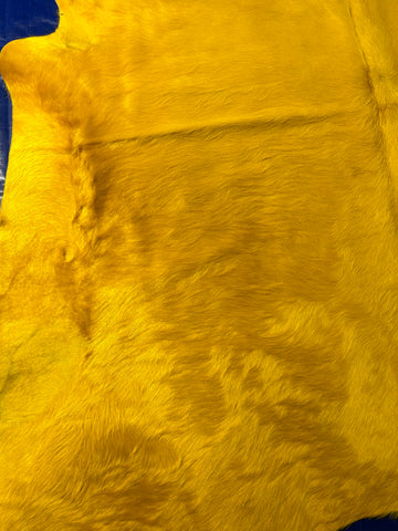 Dyed Yellow Cowhide Rug (longish hair) Size: 7x6.5 feet D-217