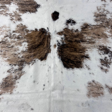 Brazilian Tricolor Cowhide Rug Size: 8x7 feet D-713