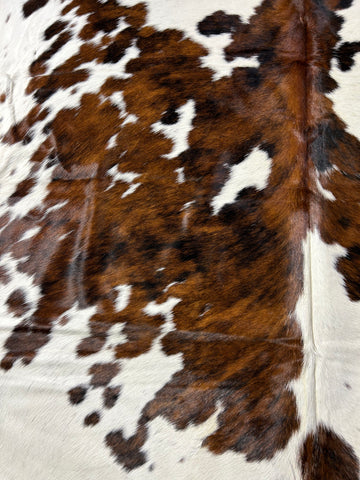 Tricolor Cowhide Rug Size: 8x7.2 feet D-223