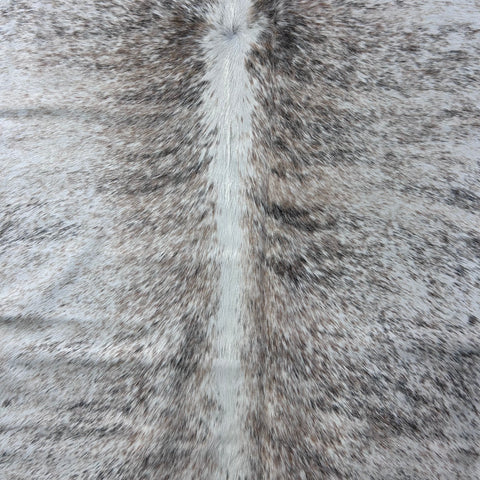 Salt & Pepper Light Beige and Grey Cowhide Rug Size: 7.2x6.5 feet Z-071