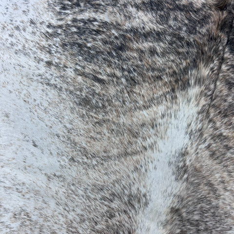 Salt & Pepper Light Beige and Grey Cowhide Rug Size: 7.2x6.5 feet Z-071