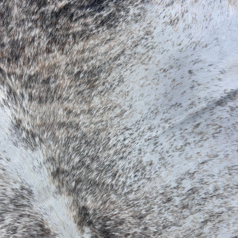 Salt & Pepper Light Beige and Grey Cowhide Rug Size: 7.2x6.5 feet Z-071