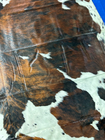 Tricolor Cowhide Rug Size: 8x7 feet D-227