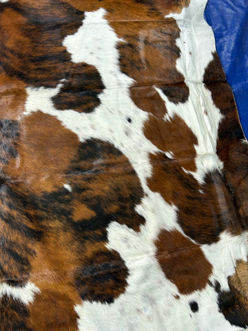 Beautiful Tricolor Cowhide Rug Size: 8x7 feet D-234