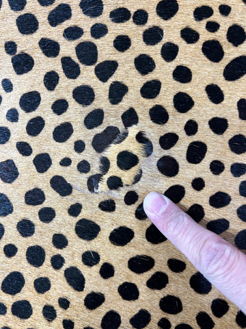 Cheetah Print Cowhide Rug (1 small patch) Size: 7x5.2 feet D-237