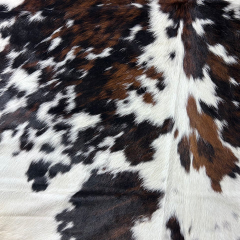 Nice Tricolor Cowhide Rug Size: 7x7 feet D-717