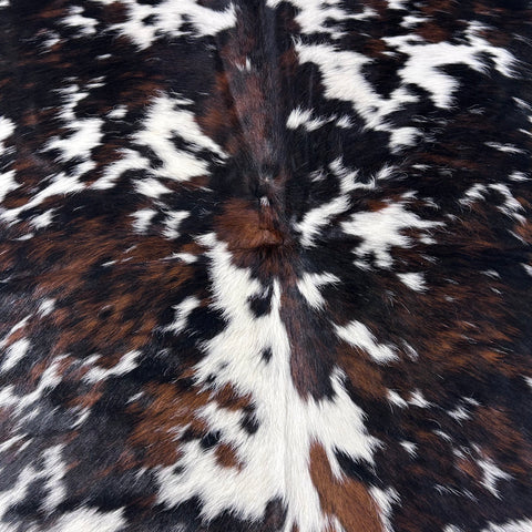 Nice Tricolor Cowhide Rug Size: 7x7 feet D-717