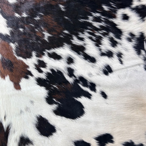 Nice Tricolor Cowhide Rug Size: 7x7 feet D-717