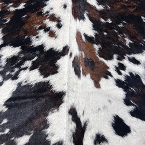 Nice Tricolor Cowhide Rug Size: 7x7 feet D-717