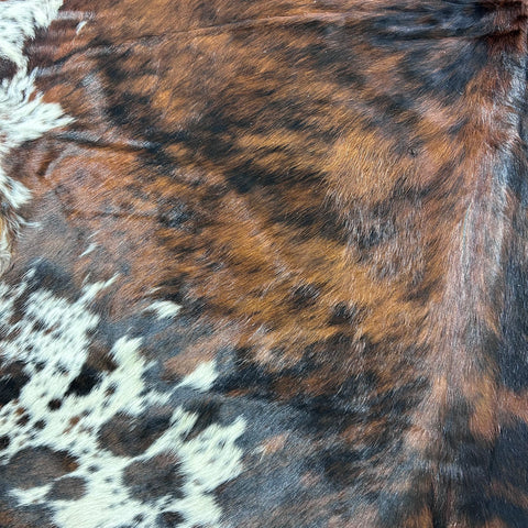 Tricolor Cowhide Rug Size: 7x6.5 feet D-718