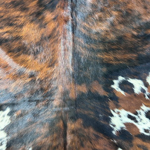 Tricolor Cowhide Rug Size: 7x6.5 feet D-718