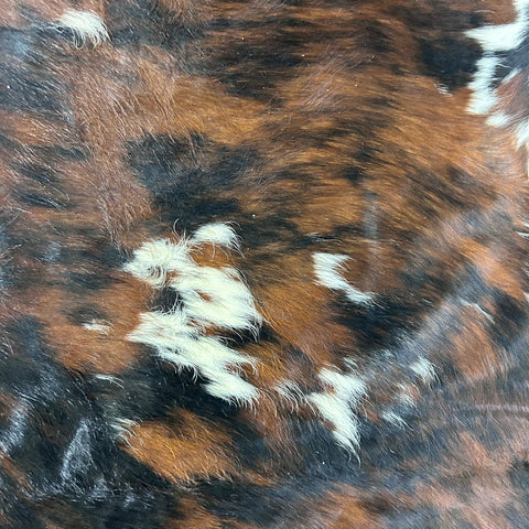 Tricolor Cowhide Rug Size: 7x6.5 feet D-718