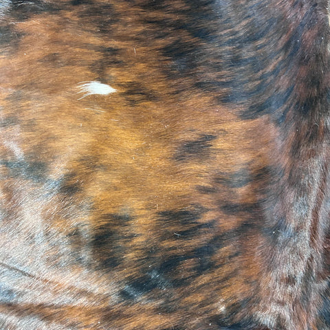 Tricolor Cowhide Rug Size: 7x6.5 feet D-718