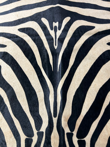 Upholstery Zebra Cowhide Rug with Beige Background & Black Stripes Size: 7x5.7 feet D-239