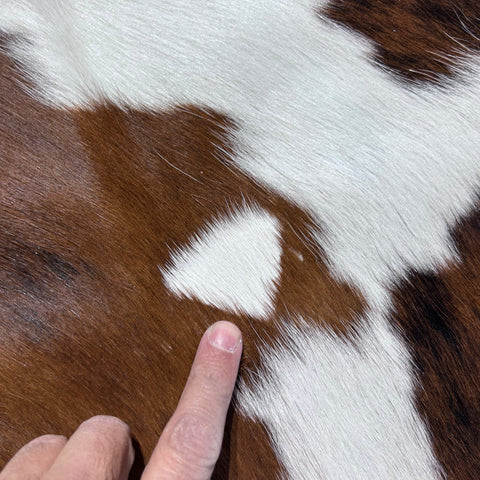 Tricolor Cowhide Rug (patches) Size: 7.5x6.7 feet D-719