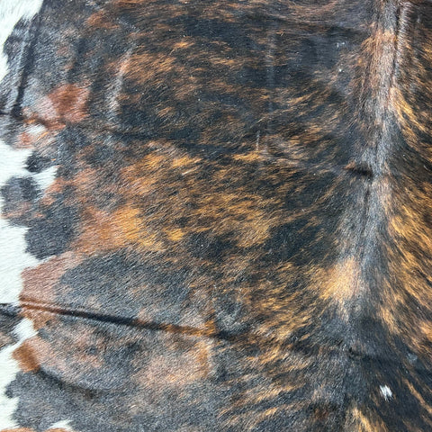 Tricolor Cowhide Rug Size: 7x6.5 feet D-720