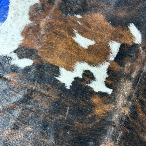 Tricolor Cowhide Rug Size: 7x6.5 feet D-720