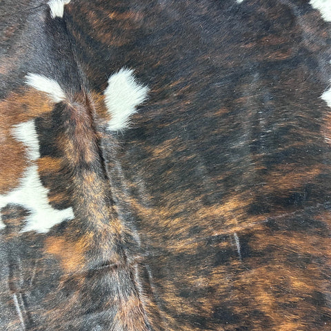 Tricolor Cowhide Rug Size: 7x6.5 feet D-720