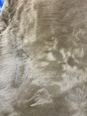 Dyed Champagne/Taupe Cowhide Rug (longish gorgeous hair!) Size: 7x7 feet D-241