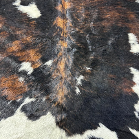 Small Tricolor Cowhide Rug Size: 6x5 feet D-725