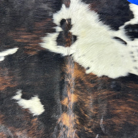 Small Tricolor Cowhide Rug Size: 6x5 feet D-725