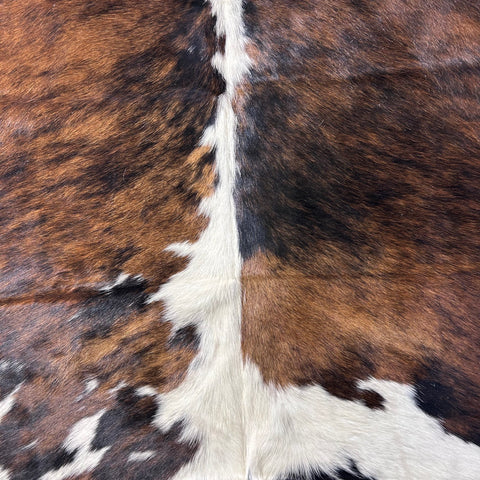 Tricolor Cowhide Rug Size: 7.7x6.5 feet D-726