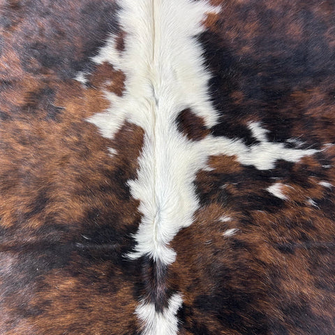 Tricolor Cowhide Rug Size: 7.7x6.5 feet D-726