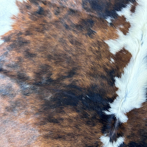 Tricolor Cowhide Rug Size: 7.7x6.5 feet D-726