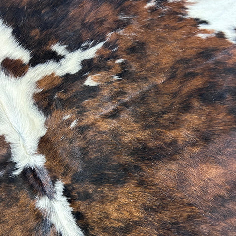 Tricolor Cowhide Rug Size: 7.7x6.5 feet D-726