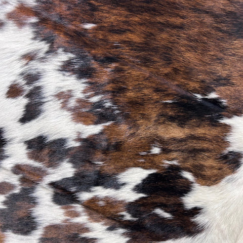 Tricolor Cowhide Rug Size: 7.7x6.5 feet D-726