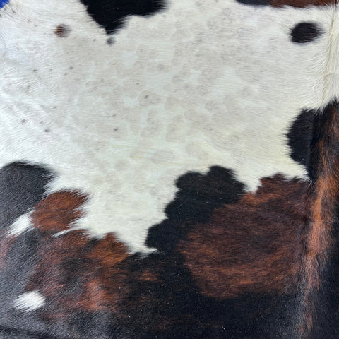 Tricolor Cowhide Rug Size: 7x6 feet D-727