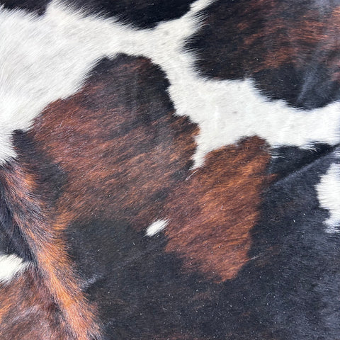 Tricolor Cowhide Rug Size: 7x6 feet D-727