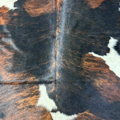 Tricolor Cowhide Rug Size: 7x6 feet D-727