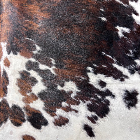 Tricolor Cowhide Rug Size: 7.5x6 feet D-728