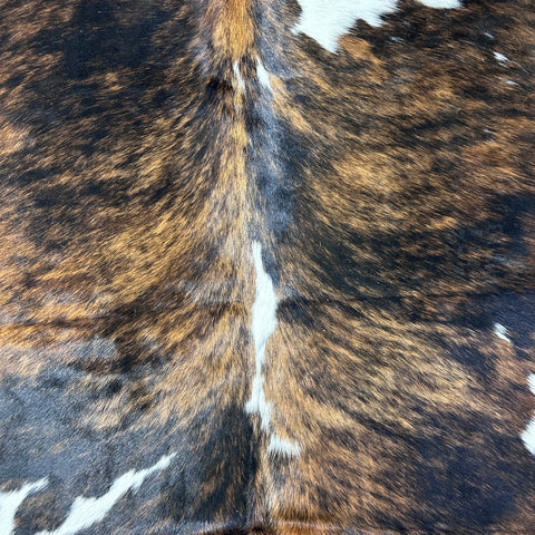 Tricolor Cowhide Rug Size: 7.5x6.5 feet D-729