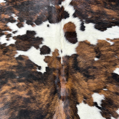 Tricolor Cowhide Rug Size: 7.5x6.5 feet D-729