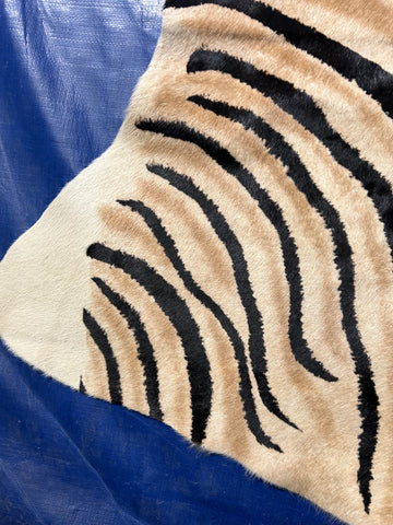 Dark Genuine Zebra Cowhide Rug Size: 7.2x6.2 feet D-254