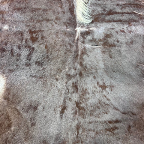 Golden Wildebeest Skin B Grade (holes and a bit stiff/Tail is 26") Size: 5x4 feet F-002