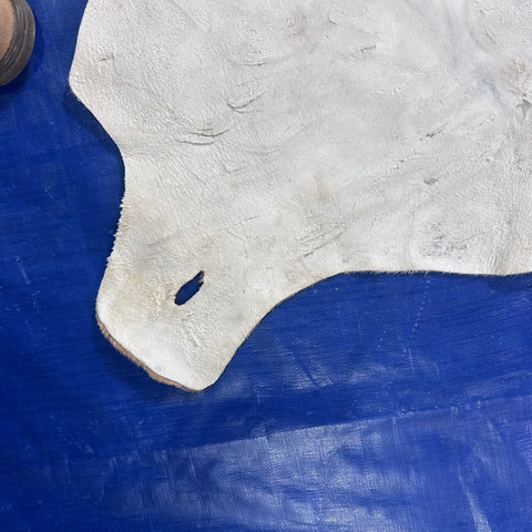 Golden Wildebeest Skin B Grade (holes and a bit stiff/Tail is 26") Size: 5x4 feet F-002