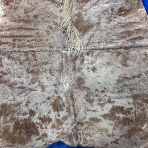 Golden Wildebeest Skin B Grade (holes and a bit stiff/No Tail) Size: 58x56 inch F-003