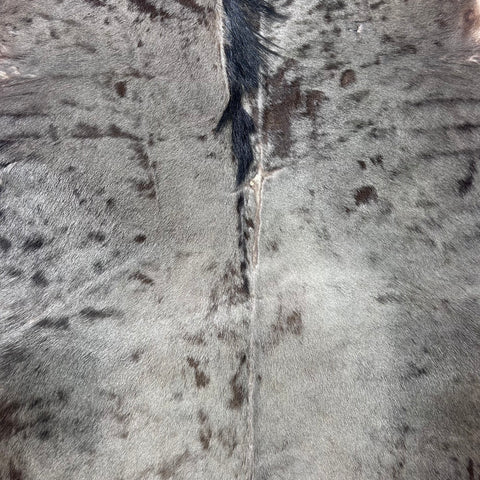 Blue Wildebeest Skin (holes and a bit stiff/No Tail) Size: 59x56 inch F-005