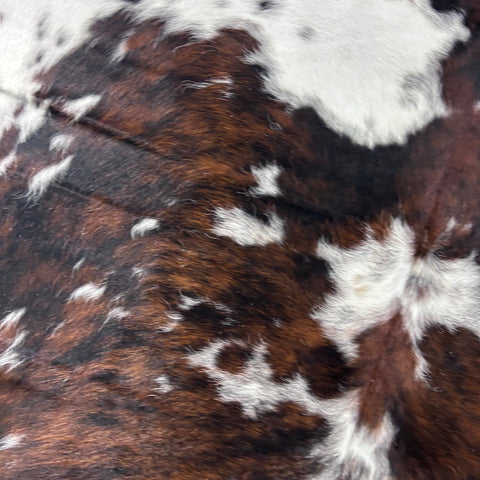 Tricolor Cowhide Rug Size: 7x6 feet Colombia # 149