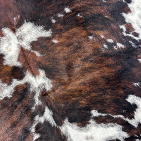 Tricolor Cowhide Rug Size: 7x6 feet Colombia # 149