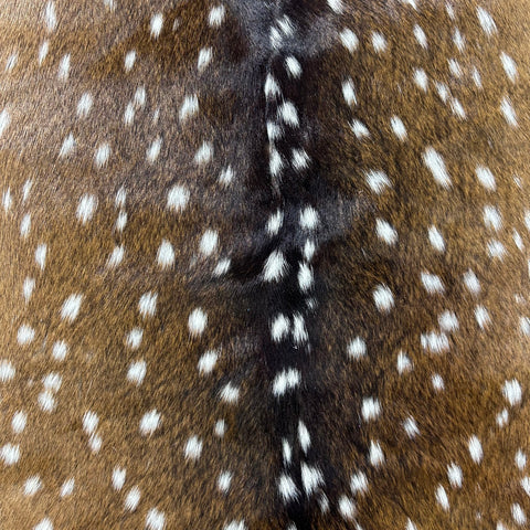 Axis Deer Skin (good quality and soft) Size: 37x35" Axis-777