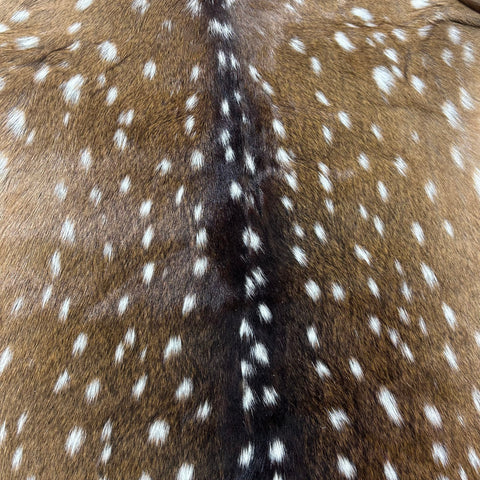 Axis Deer Skin (good quality and soft) Size: 37x35" Axis-777